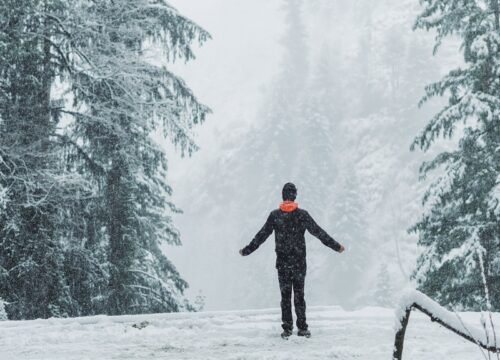 snow trekking in manali