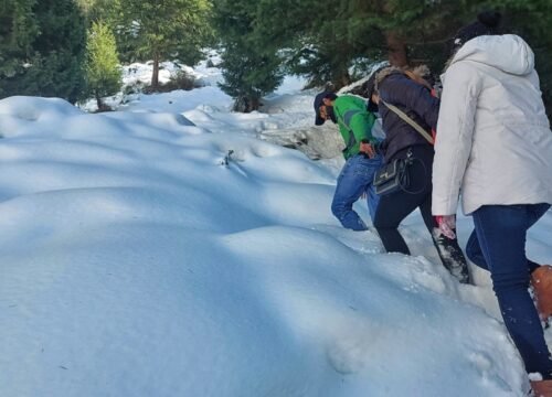 Manali Trek