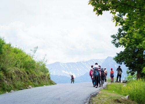 Manali adventure camp