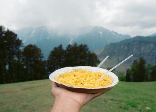 Maggie time in manali tour package