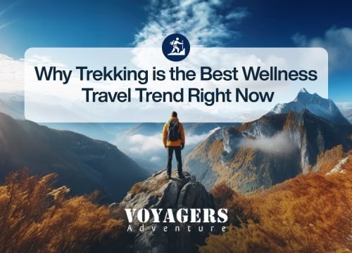 Why Trekking is the Best Wellness Travel Trend of 2025