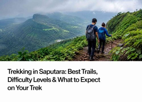 Trekking in Saputara: Best Trails, Difficulty Levels & What to Expect on Your Trek